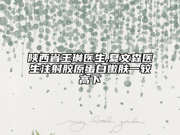 陜西省王琳醫(yī)生,夏文森醫(yī)生注射膠原蛋白嫩膚一較高下