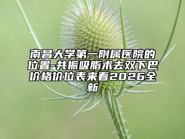 南昌大學(xué)第一附屬醫(yī)院的位置-共振吸脂術(shù)去雙下巴價(jià)格價(jià)位表來(lái)看2026全新