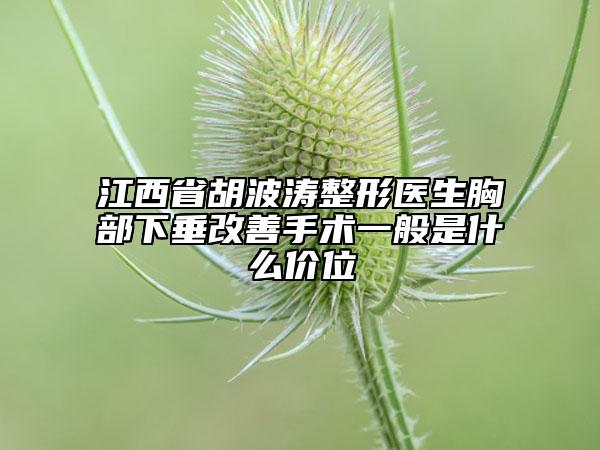 江西省胡波濤整形醫(yī)生胸部下垂改善手術(shù)一般是什么價位