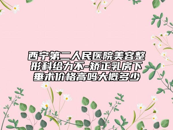 西寧第二人民醫(yī)院美容整形科給力不-矯正乳房下垂術價格高嗎大概多少