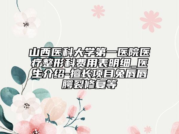 山西醫(yī)科大學(xué)第一醫(yī)院醫(yī)療整形科費用表明細_醫(yī)生介紹-擅長項目兔唇唇腭裂修復(fù)等