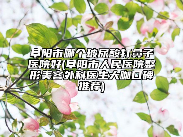 阜陽(yáng)市哪個(gè)玻尿酸打鼻子醫(yī)院好(阜陽(yáng)市人民醫(yī)院整形美容外科醫(yī)生大咖口碑推薦)