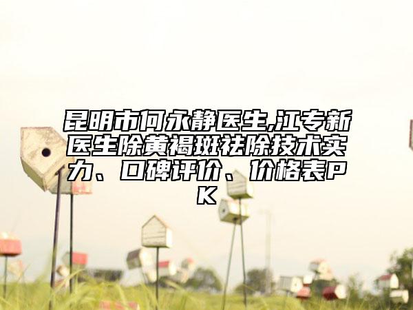 昆明市何永靜醫(yī)生,江專新醫(yī)生除黃褐斑祛除技術(shù)實(shí)力、口碑評價(jià)、價(jià)格表PK