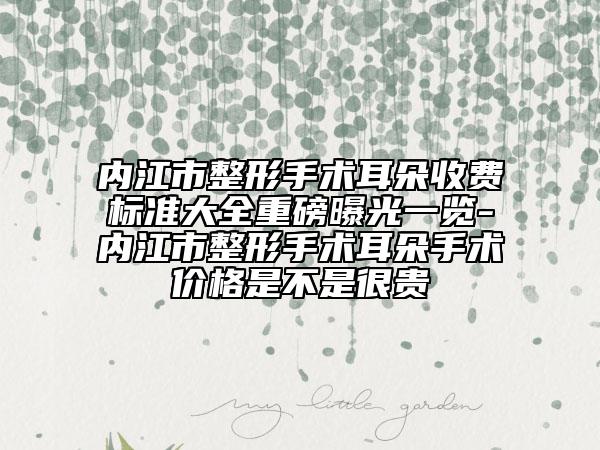 內(nèi)江市整形手術(shù)耳朵收費(fèi)標(biāo)準(zhǔn)大全重磅曝光一覽-內(nèi)江市整形手術(shù)耳朵手術(shù)價(jià)格是不是很貴