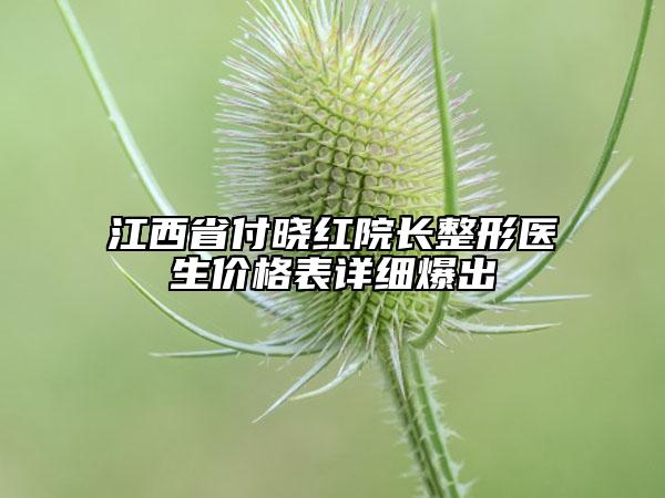 江西省付曉紅院長(zhǎng)整形醫(yī)生價(jià)格表詳細(xì)爆出