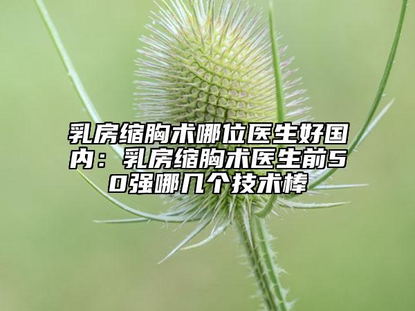 乳房縮胸術(shù)哪位醫(yī)生好國內(nèi):乳房縮胸術(shù)醫(yī)生前50強(qiáng)哪幾個技術(shù)棒