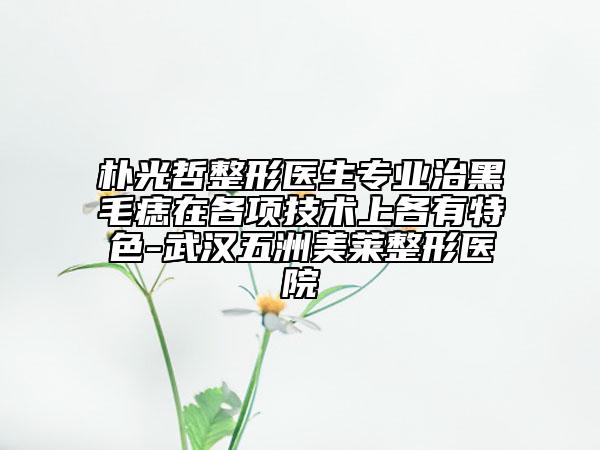 樸光哲整形醫(yī)生專業(yè)治黑毛痣在各項(xiàng)技術(shù)上各有特色-武漢五洲美萊整形醫(yī)院