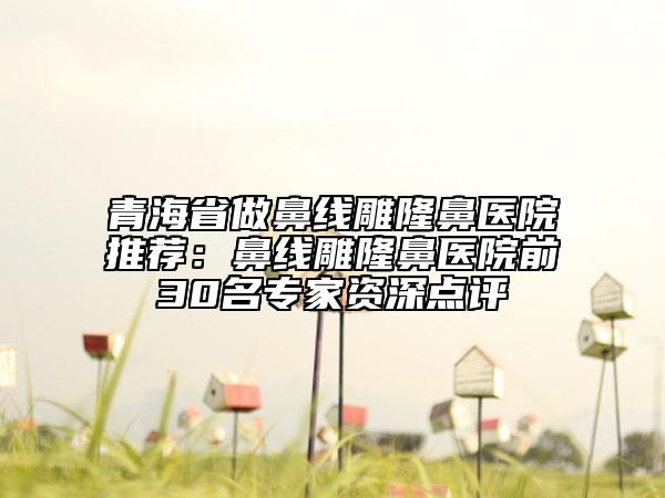 青海省做鼻線雕隆鼻醫(yī)院推薦:鼻線雕隆鼻醫(yī)院前30名專家資深點(diǎn)評(píng)