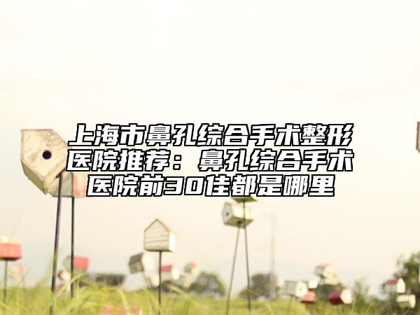 上海市鼻孔綜合手術(shù)整形醫(yī)院推薦：鼻孔綜合手術(shù)醫(yī)院前30佳都是哪里